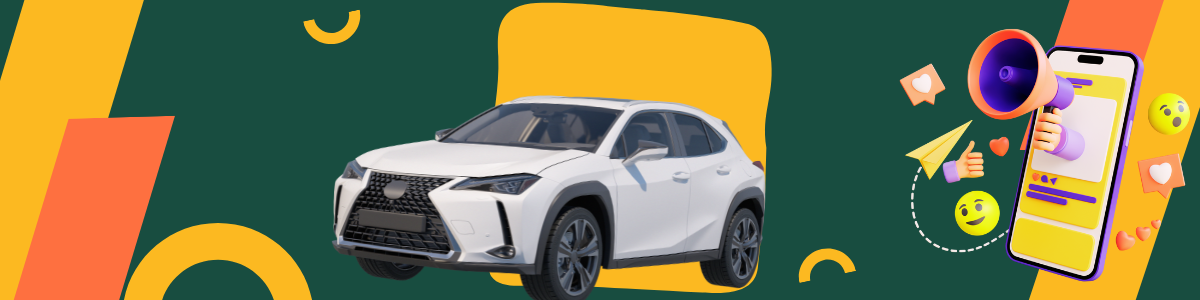 Professional vehicle services